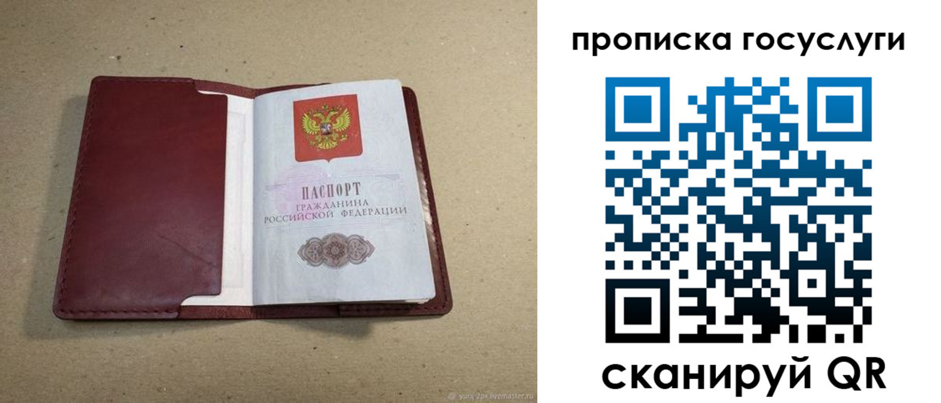 прописка поиск в Верещагино